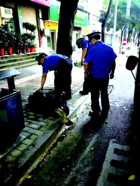 老人醉倒街头，城管队员暖心扶起送回家休闲区蓝鸢梦想 - Www.slyday.coM