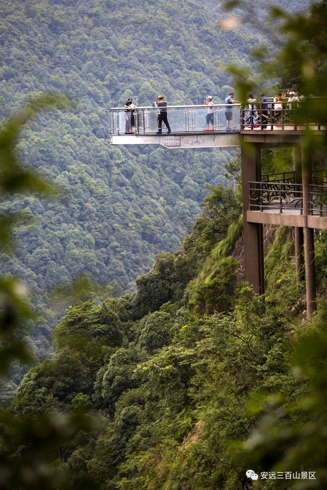 暑假倒计时 | 您的安远三百山旅游福利未接收,请速速查收!
