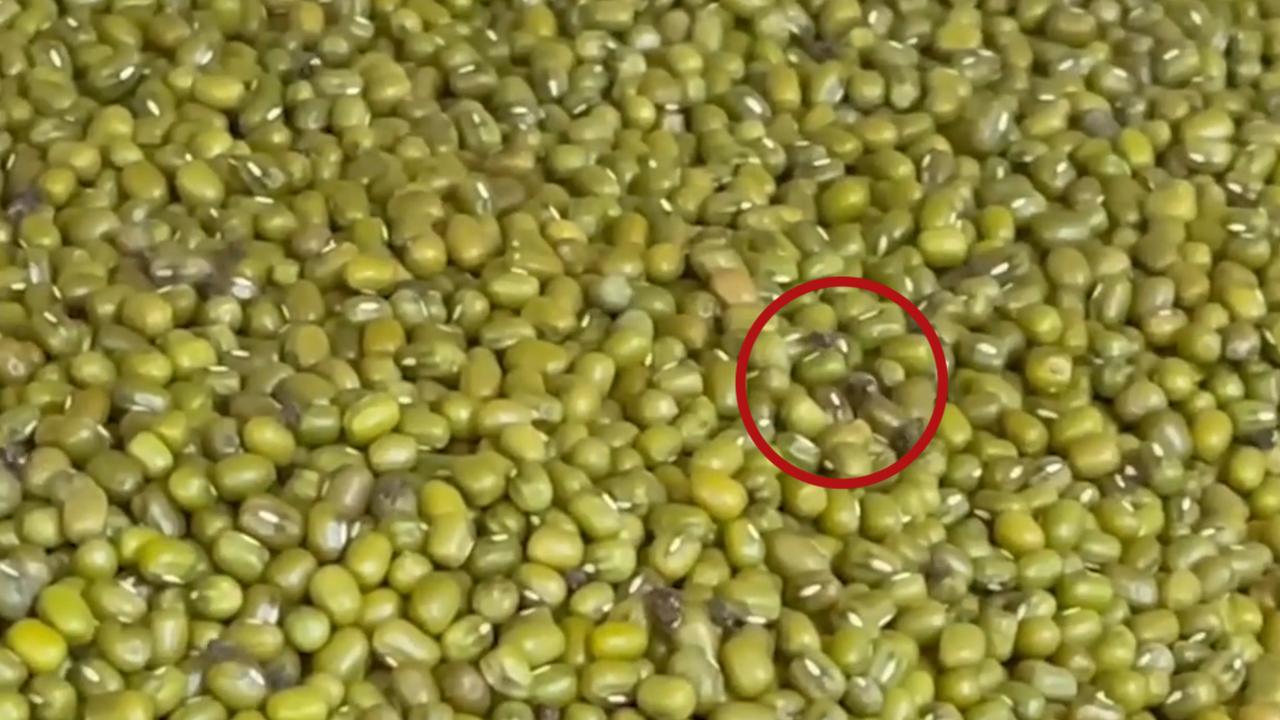 网曝陕西一超市绿豆柜内爬满虫子 密密麻麻约有上百只