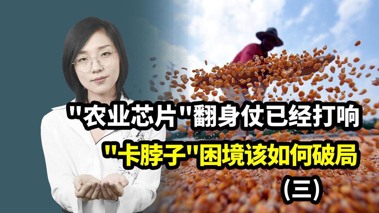 农业芯片翻身仗已经打响卡脖子困境该如何破局