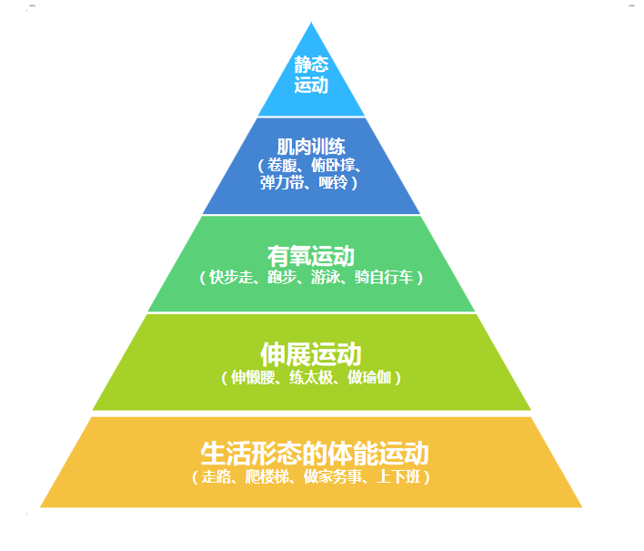 每日运动量多少与金字塔颜色面积相关