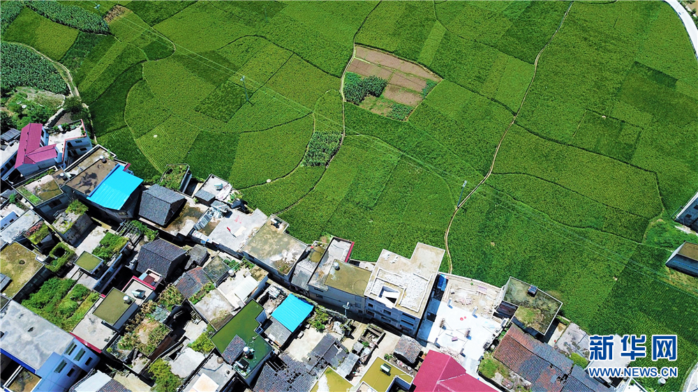 安顺市关岭布依族苗族自治县坡贡镇凡化村田园美景.