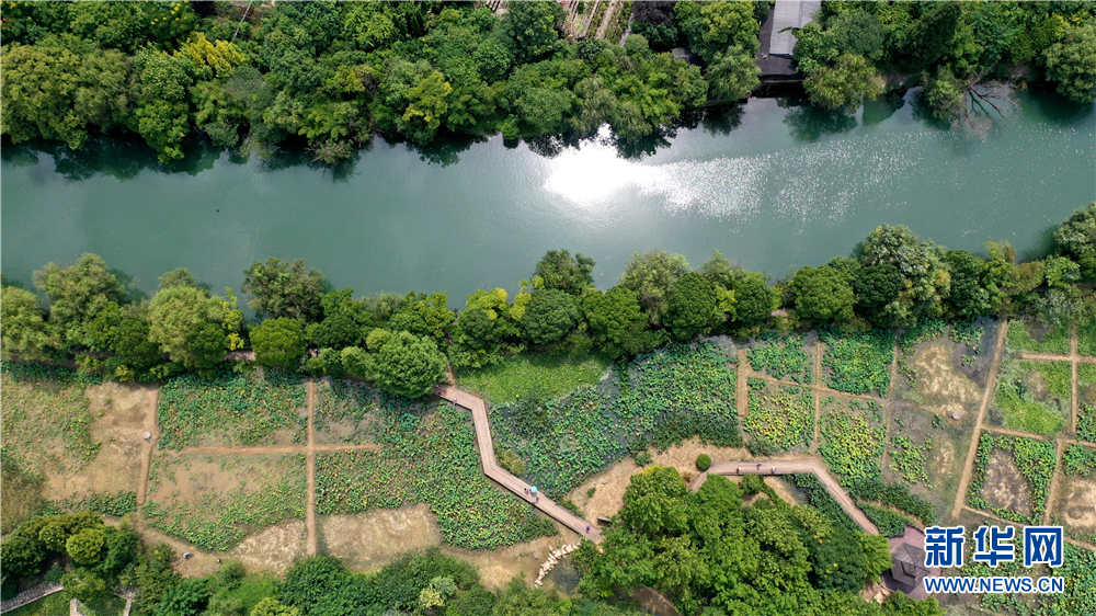 图为8月22日航拍的贵阳市花溪国家城市湿地公园十里河滩一景.