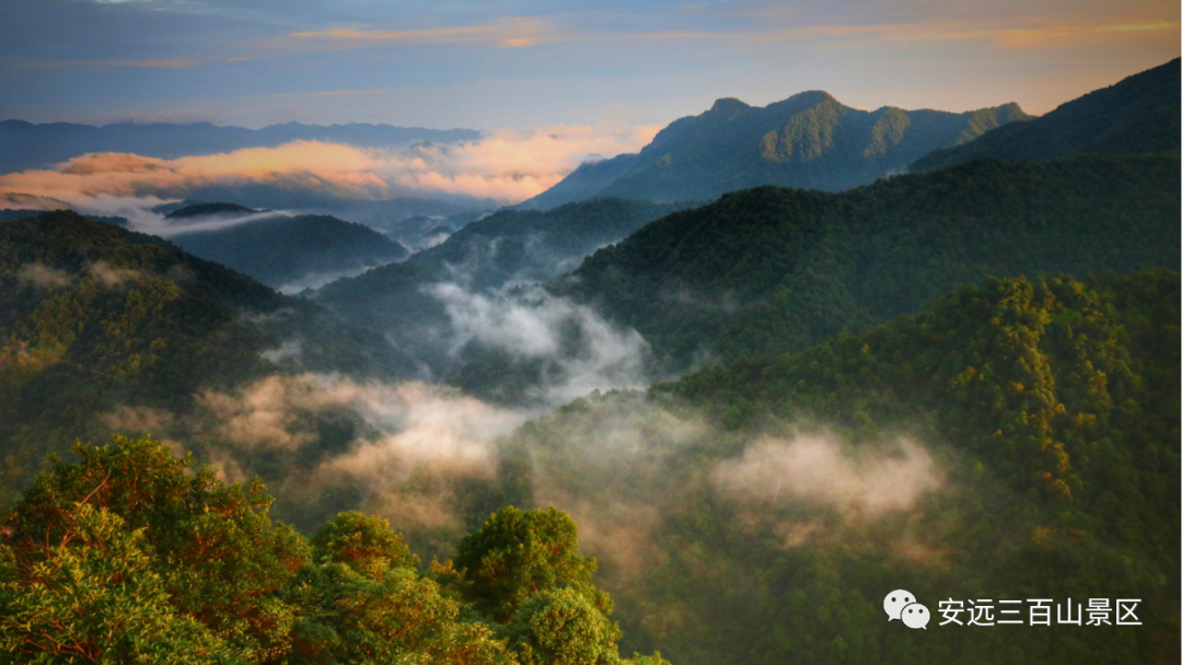 暑假倒计时您的安远三百山旅游福利未接收请速速查收