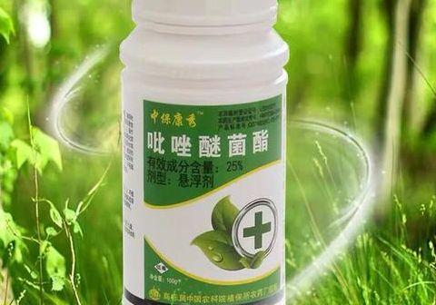 我不太懂花卉病害,咋判断我家花能不能用花枝俏呀?