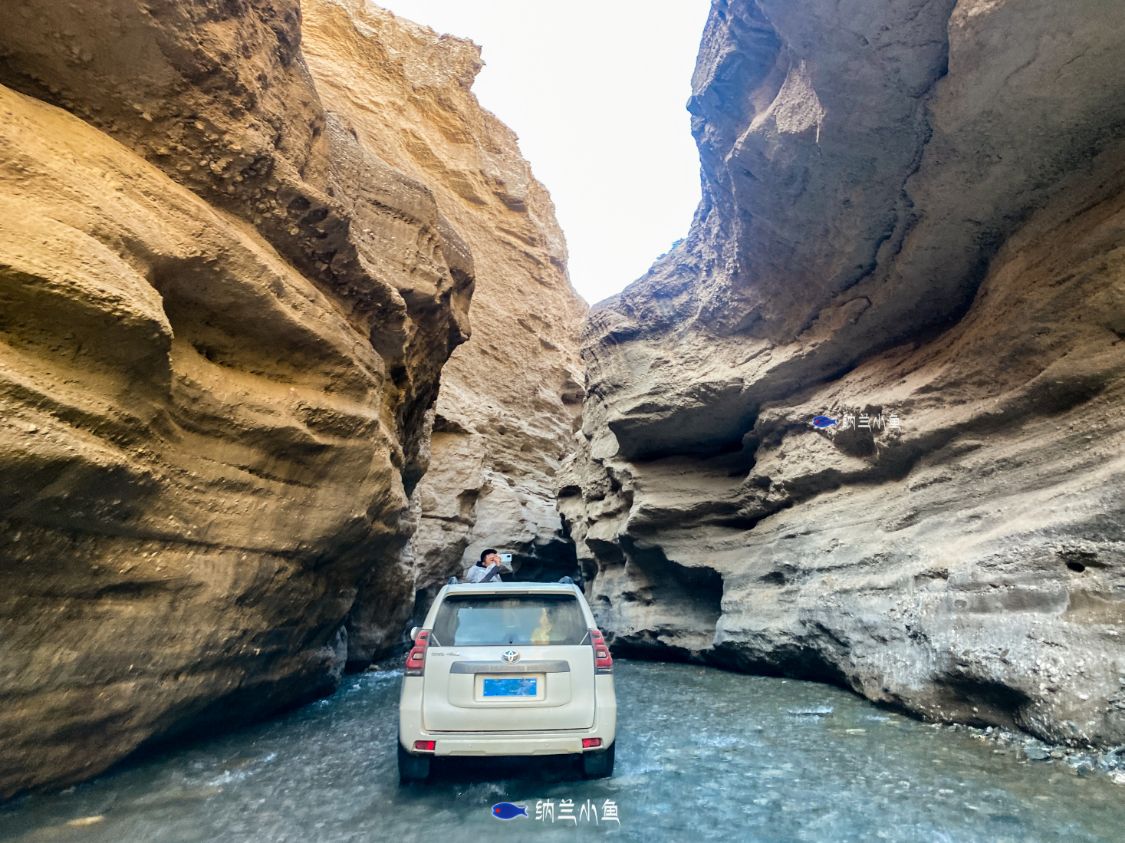 羚羊谷与美国的羚羊谷,陕西靖边的波浪谷,新疆库车的天山大峡谷有些