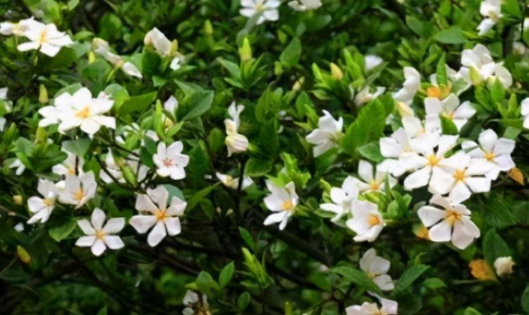 女性不想显老，多吃3种食物，抗氧化，美白淡斑，爱吃就行了休闲区蓝鸢梦想 - Www.slyday.coM