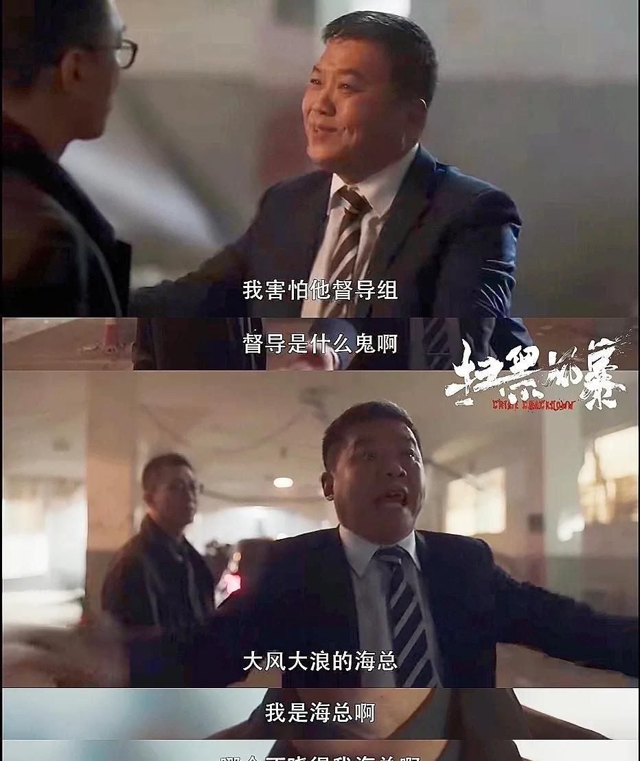 扫黑风暴海总火了拍7天我就5场戏现编你跟老子玩江湖