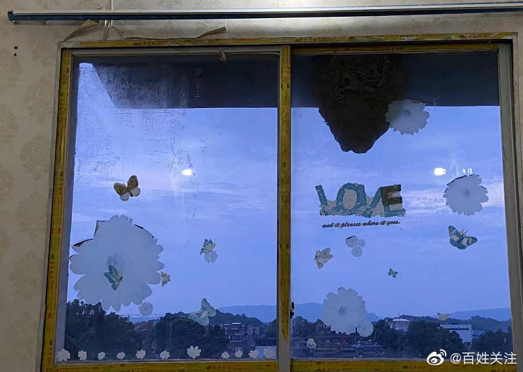 贵州一学校惊现巨型马蜂窝 直径达70厘米！休闲区蓝鸢梦想 - Www.slyday.coM