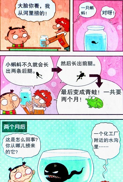 学渣捞到一只小蝌蚪,却意外发现小蝌蚪找妈妈的故事是真的