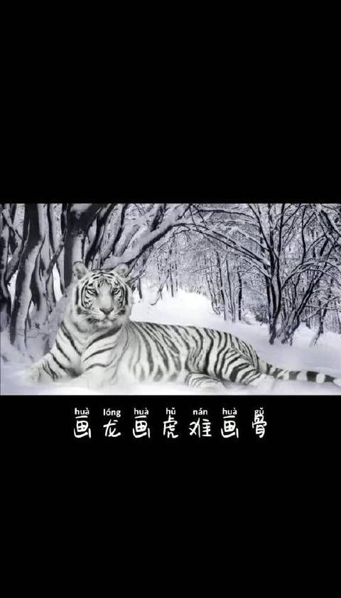 画龙画虎难画骨知人知面不知心蛇不知道自己有毒人不知道自己有错