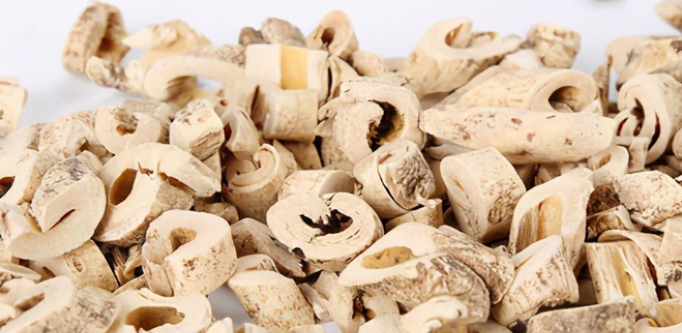 诸黄风痹要药白鲜皮