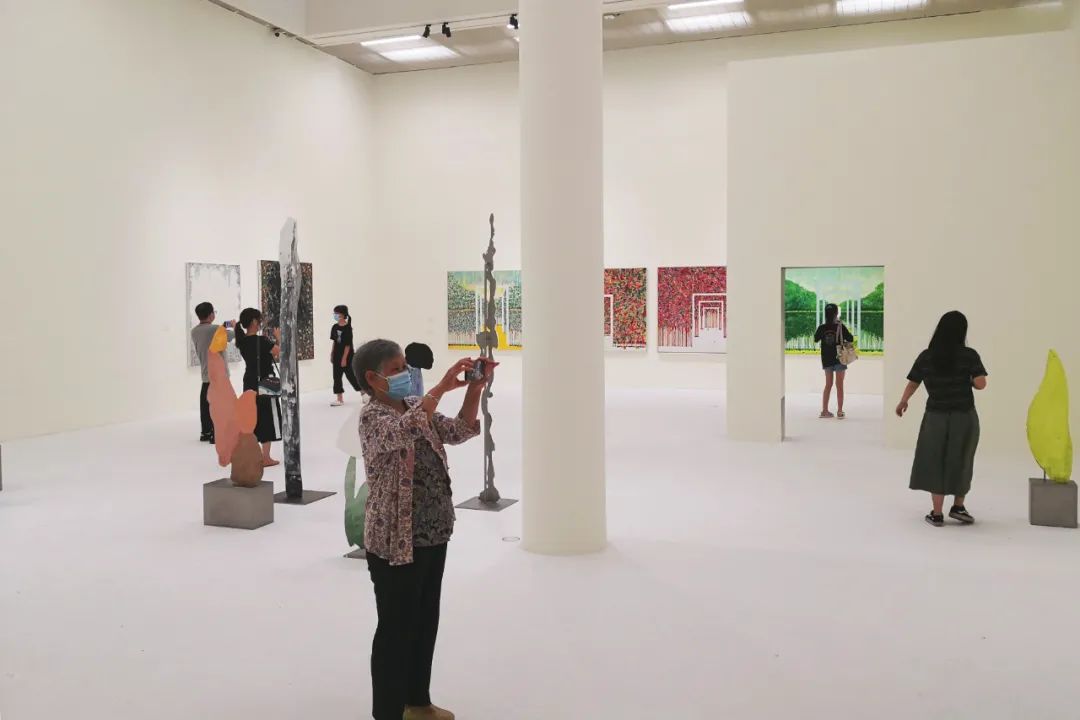深圳当代艺术家系列之一迢迢薛峰个展在坪山美术馆展出