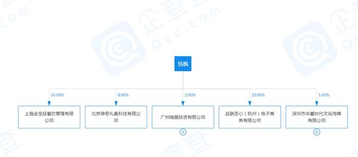 钱枫目前直接关联的企业及持股比例。企查查截图