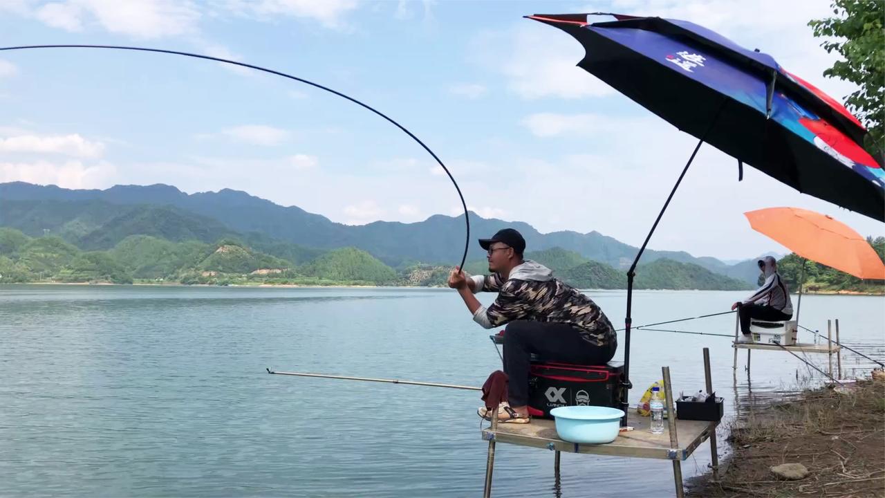 老曹用鲫鱼竿钓黄尾,真是太爽了!