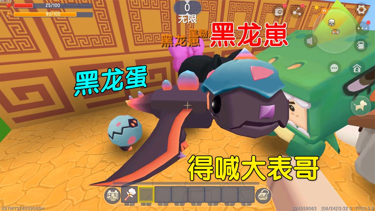 迷你世界:大表哥你的黑龙蛋,见到我的黑龙崽,也要喊大表哥才行