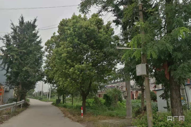 如皋江安镇:2100个监控摄像头赋能乡村振兴