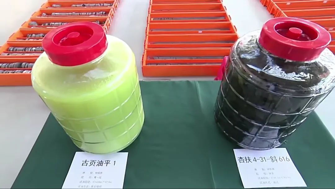 大庆古龙页岩油长啥样?