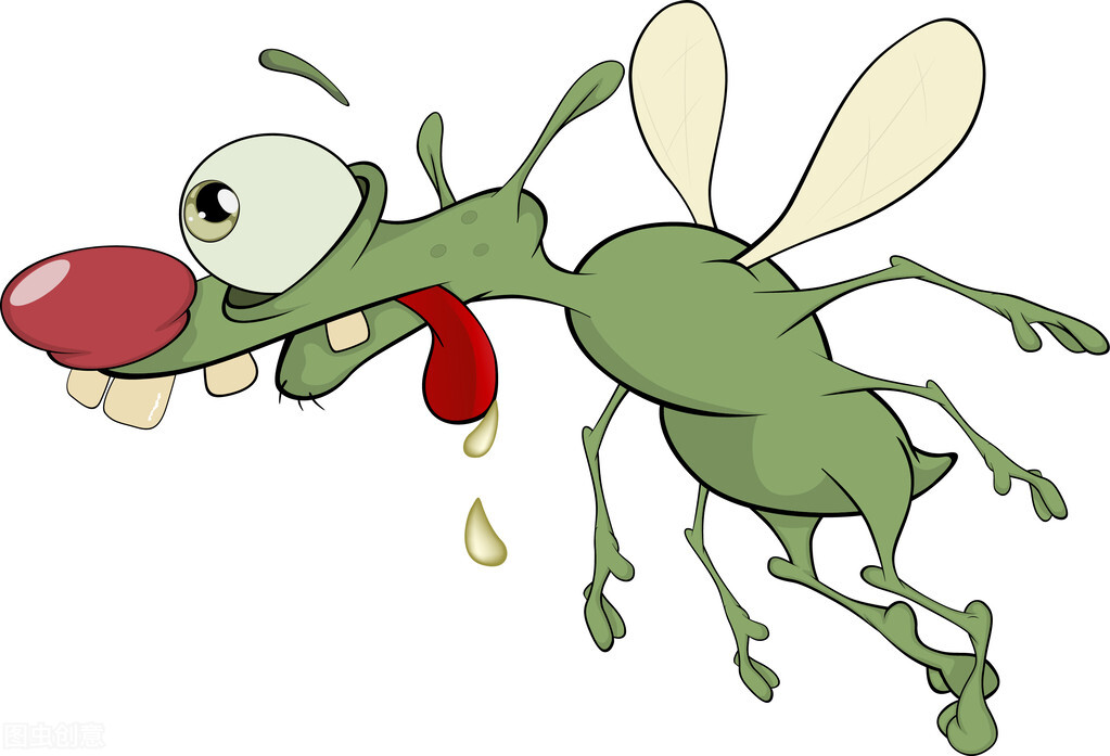 外来物种花蚊子四处泛滥它们是如何来中国的