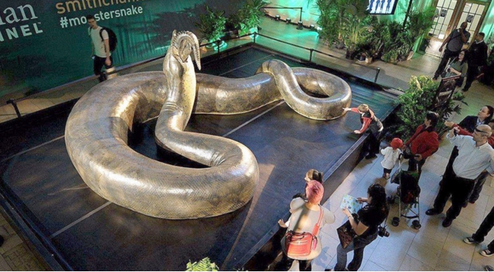 蛇吞象是真的泰国巨蟒吞下一头牛却因肚子涨破而死亡