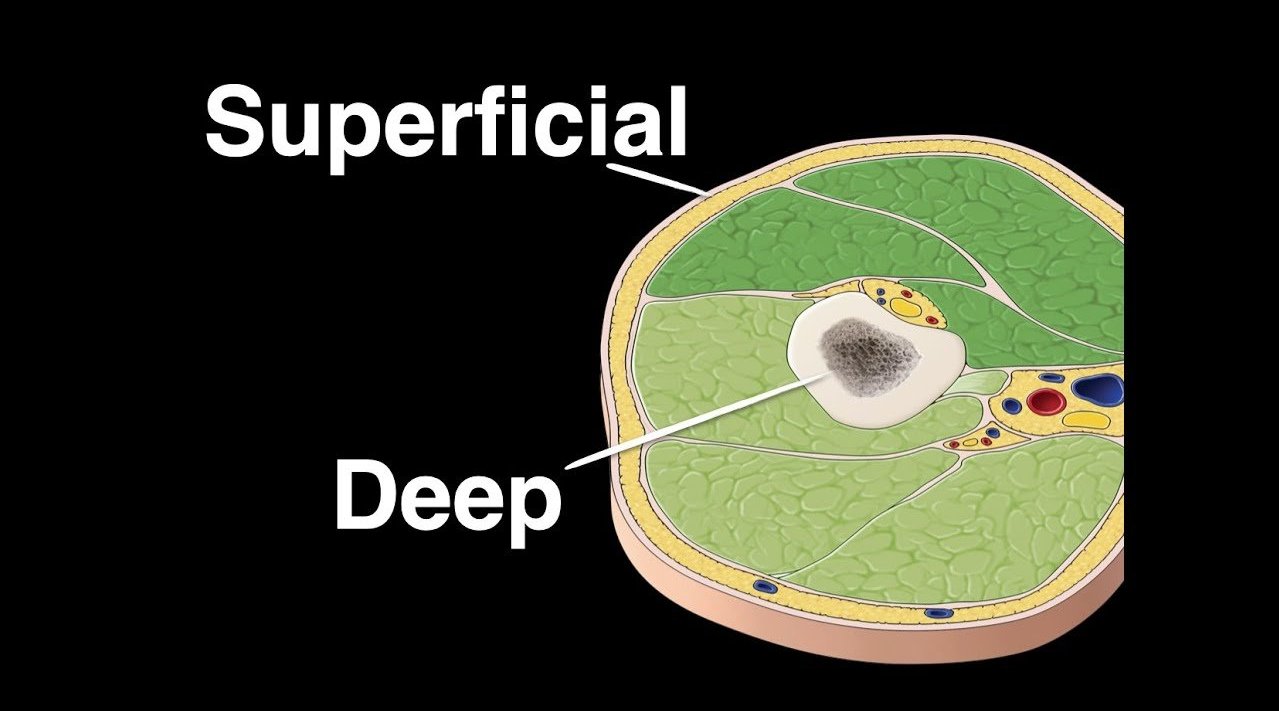 吾爱是什么意思 公众号还能赚钱吗 公众号怎么吸引粉丝