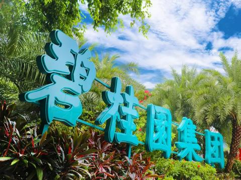 碧桂园上半年毛利降5%：安全事故未消 质量投