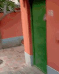 网友偶遇流浪猫,遭“饿‘’势力”组团打劫!猫咪版的《扫黑风暴》休闲区蓝鸢梦想 - Www.slyday.coM 网友偶遇流浪猫,遭“饿‘’势力”组团打劫!猫咪版的《扫黑风暴》休闲区蓝鸢梦想 - Www.slyday.coM