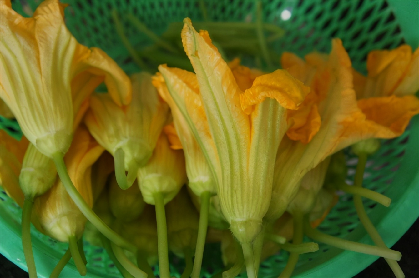 瓜花这道菜怎么都好吃