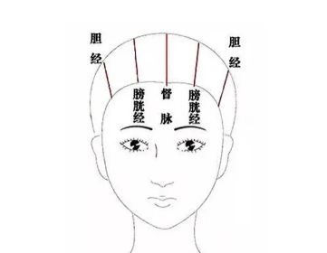 不管你是头痛偏头痛前额头痛根在经络上