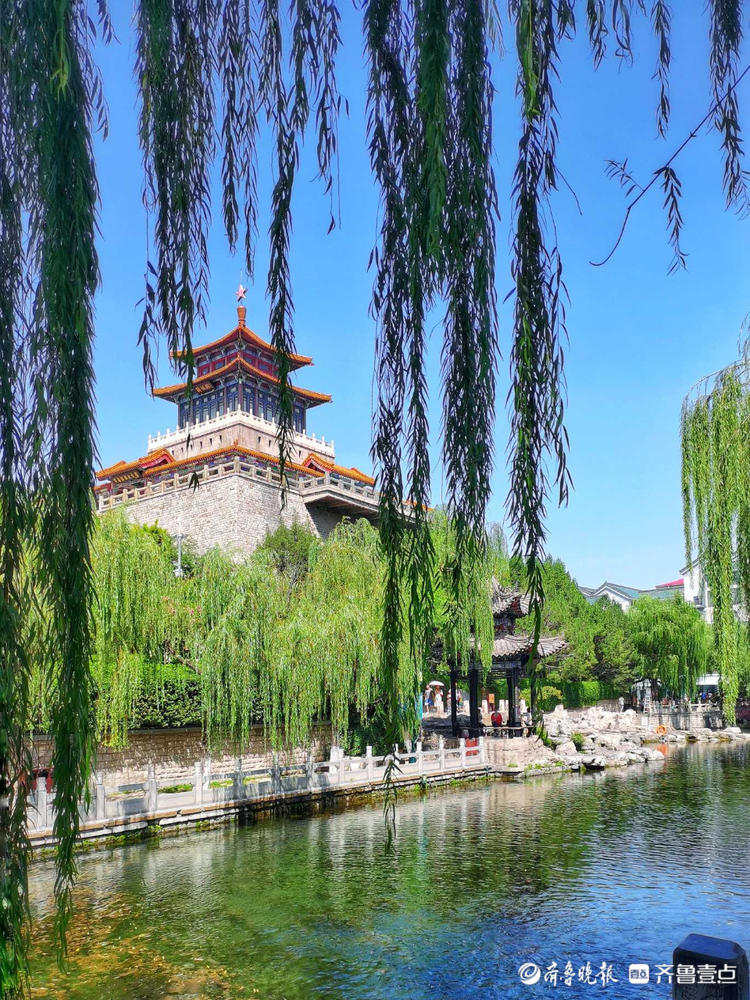 情报站秋意冉冉济南环城公园护城河畔景色秀美让人流连忘返