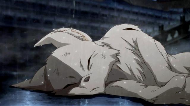 百种妖怪百种人心百妖谱最难忘的还是灰狐