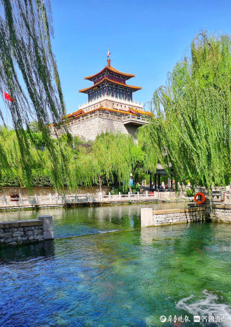 情报站秋意冉冉济南环城公园护城河畔景色秀美让人流连忘返