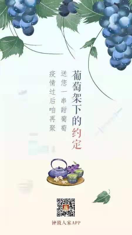 胡同里发起“甜葡萄”行动，“疫情过后，咱们葡萄架下再相聚！”休闲区蓝鸢梦想 - Www.slyday.coM