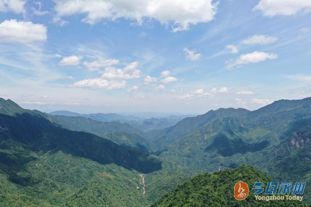 寧遠九嶷山新發現一片斑竹林