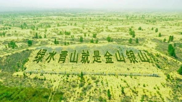 中国偏不信!历时40年,筑起牢固绿色长城|沙尘暴|防护林|长城_新浪新闻