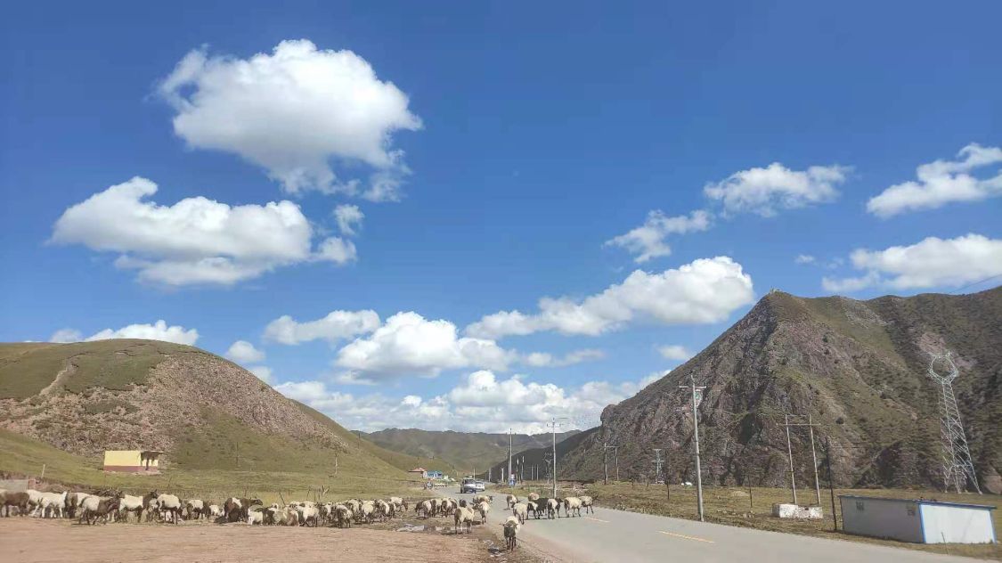 河南女孩美美直播时意外身亡,徒步西藏是追求梦想还是无知者无畏休闲区蓝鸢梦想 - Www.slyday.coM 河南女孩美美直播时意外身亡,徒步西藏是追求梦想还是无知者无畏休闲区蓝鸢梦想 - Www.slyday.coM