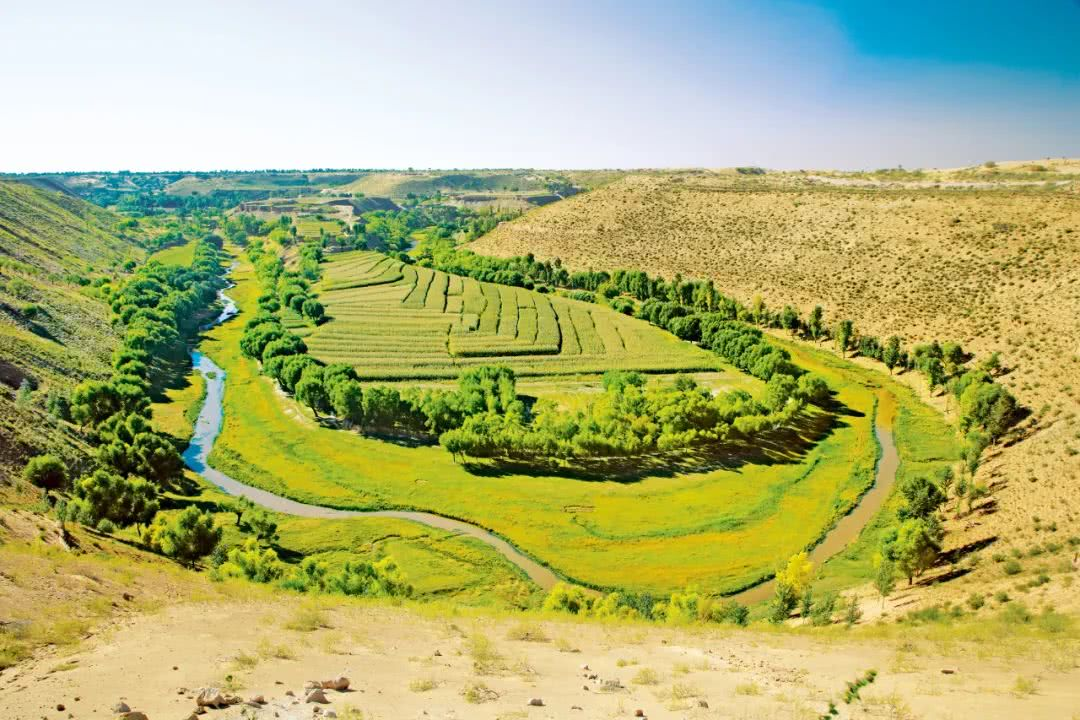 中国偏不信!历时40年,筑起牢固绿色长城|沙尘暴|防护林|长城_新浪新闻