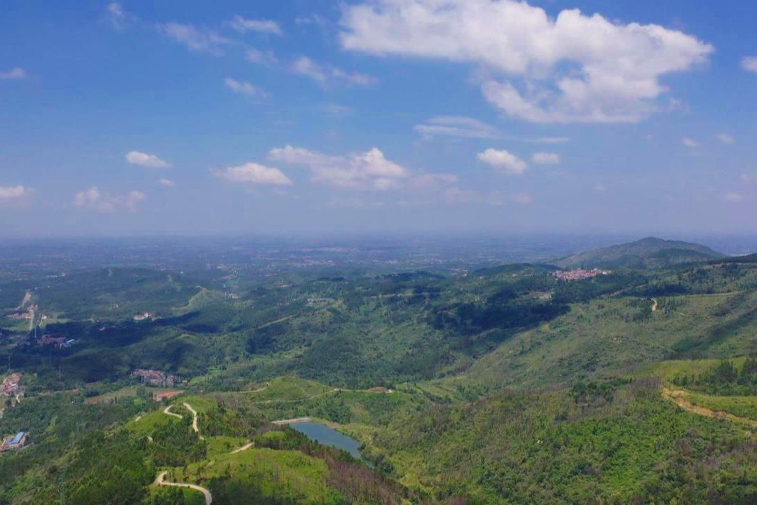 新洲区将军山获评武汉市首批碳中和林基地抵消碳排放