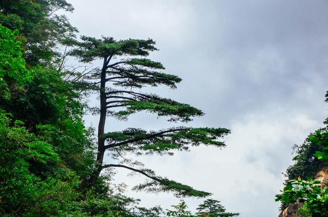 第二天一个钟的车程到达云门山风景区,云门山玻璃桥是广东省首座全