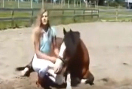 女子如此驯服马匹,朋友们见了后纷纷表示不可思议!
