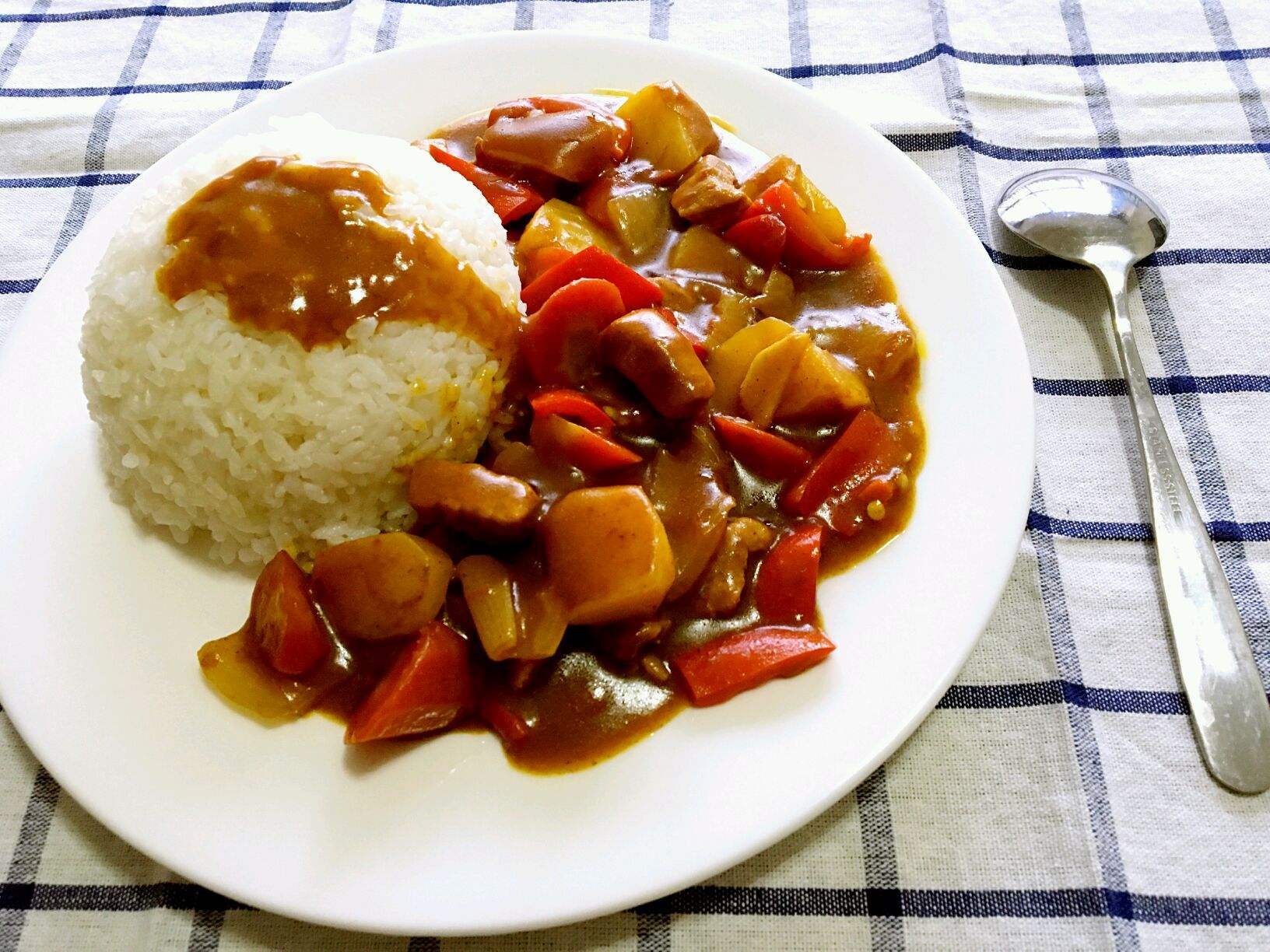 美味的洋葱猪肉盖饭