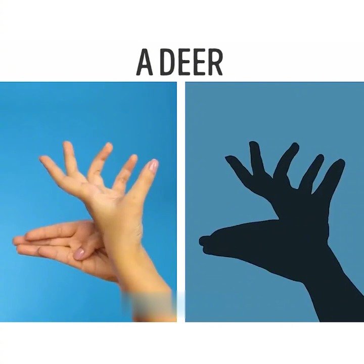 晚上没事,可以和孩子一起玩手影游戏哦,看看谁得花样更多吧