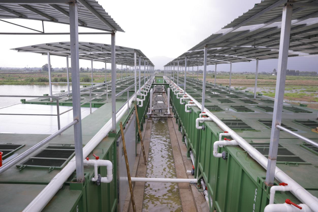 京东,恒兴等一大波企业纷纷合作,这样养鱼引爆吸引力|集装箱_新浪新闻