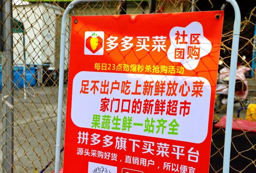 秦皇岛拼多多网站建设行业_(拼多多的网站建设是怎么样的)