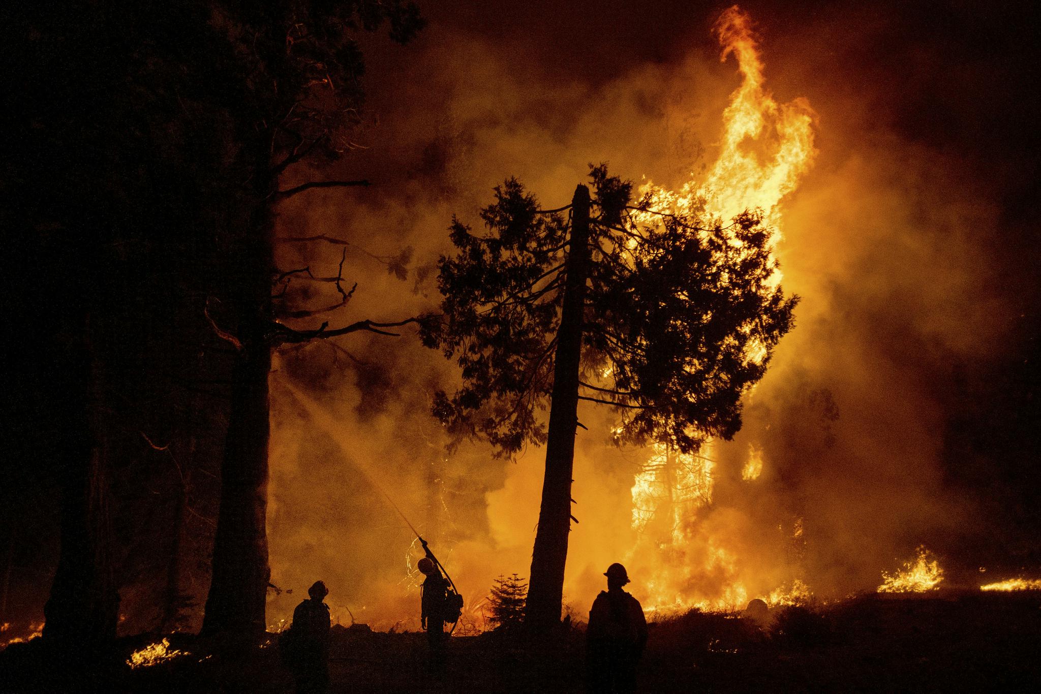 加州山火持续|埃尔多拉多|山火|美联_新浪新闻