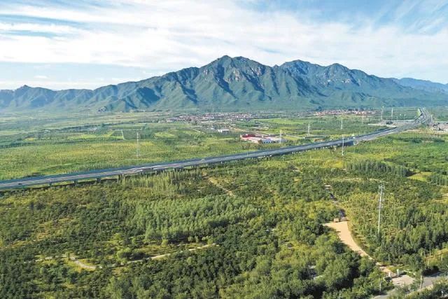 每人平均60平方米森林——北京新一轮百万亩平原造林工程完成80%