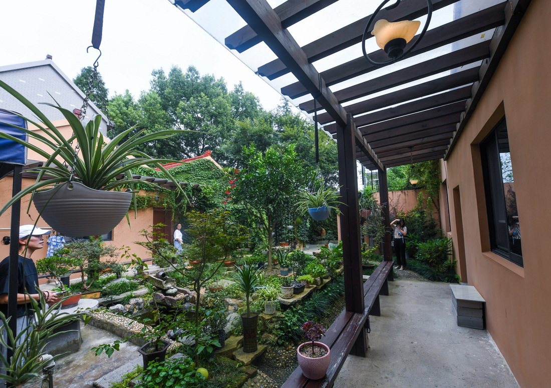 这是嘉兴海宁市兴城村的一户优美庭院示范户(8月26日摄).