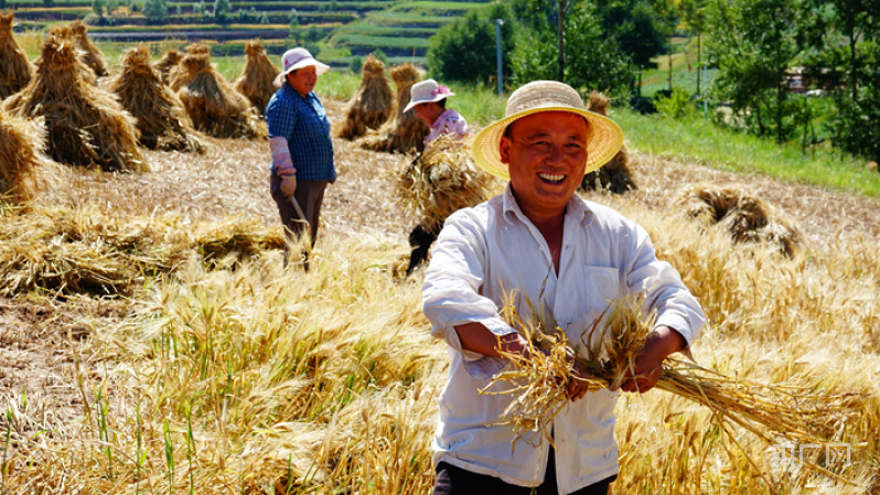 收获的喜悦(央广网发 张海东 摄)