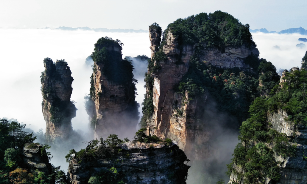 今天8时起张家界部分景区恢复开放 a级景区向全国游客半价