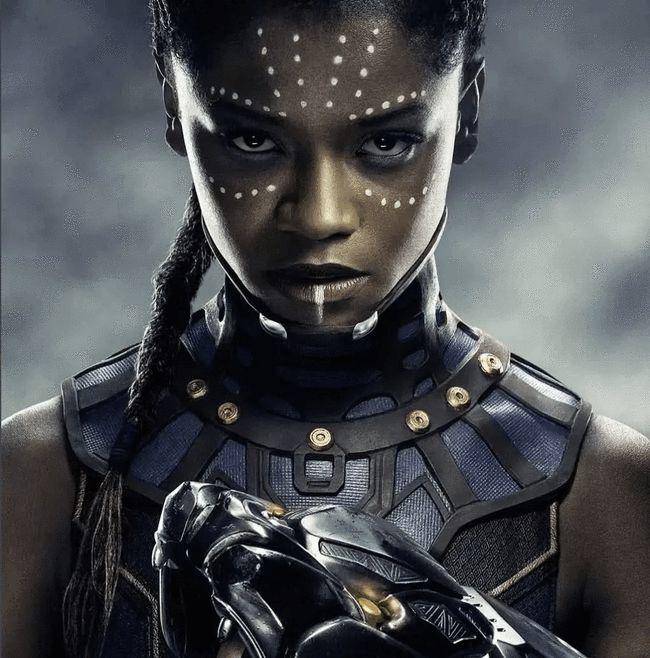 站群做站为什么用黑豹站群 旺道优化软件有哪些SEO绝招